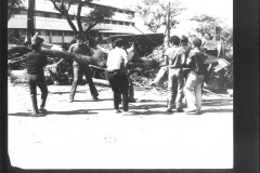 Diliman-Commune-19