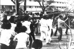 Diliman-Commune-30
