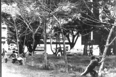 Diliman-Commune-32